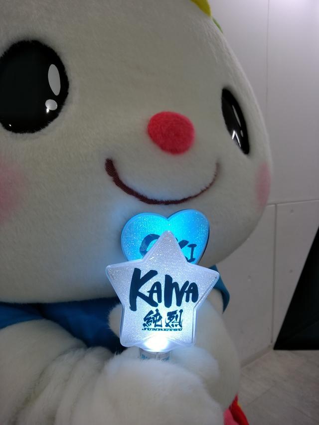 1645256605156078836.jpg 8.jpg